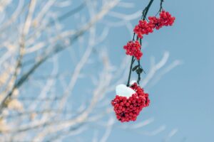 Read more about the article 클러스터용인경남아너스빌모델하우스, 실내 최초공개